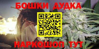 спайс Кинель