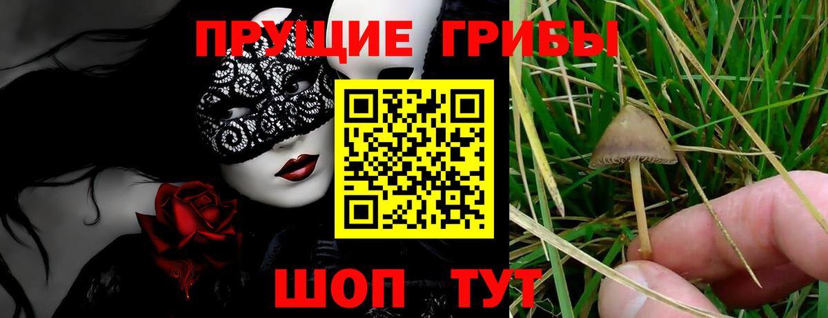 Галлюциногенные грибы прущие грибы  купить закладку  Кимры  Вход с VPN 